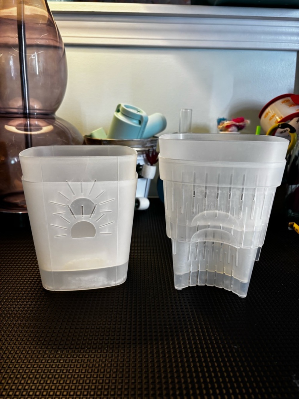 Set of 5” Naked Root Planters - Clear/Translucent - Picture 7 of 7